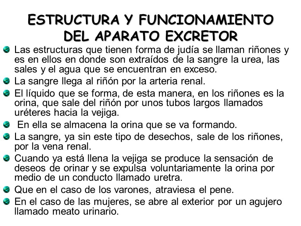 El tratamiento spondilolistez del departamento lumbosacro de la columna vertebral